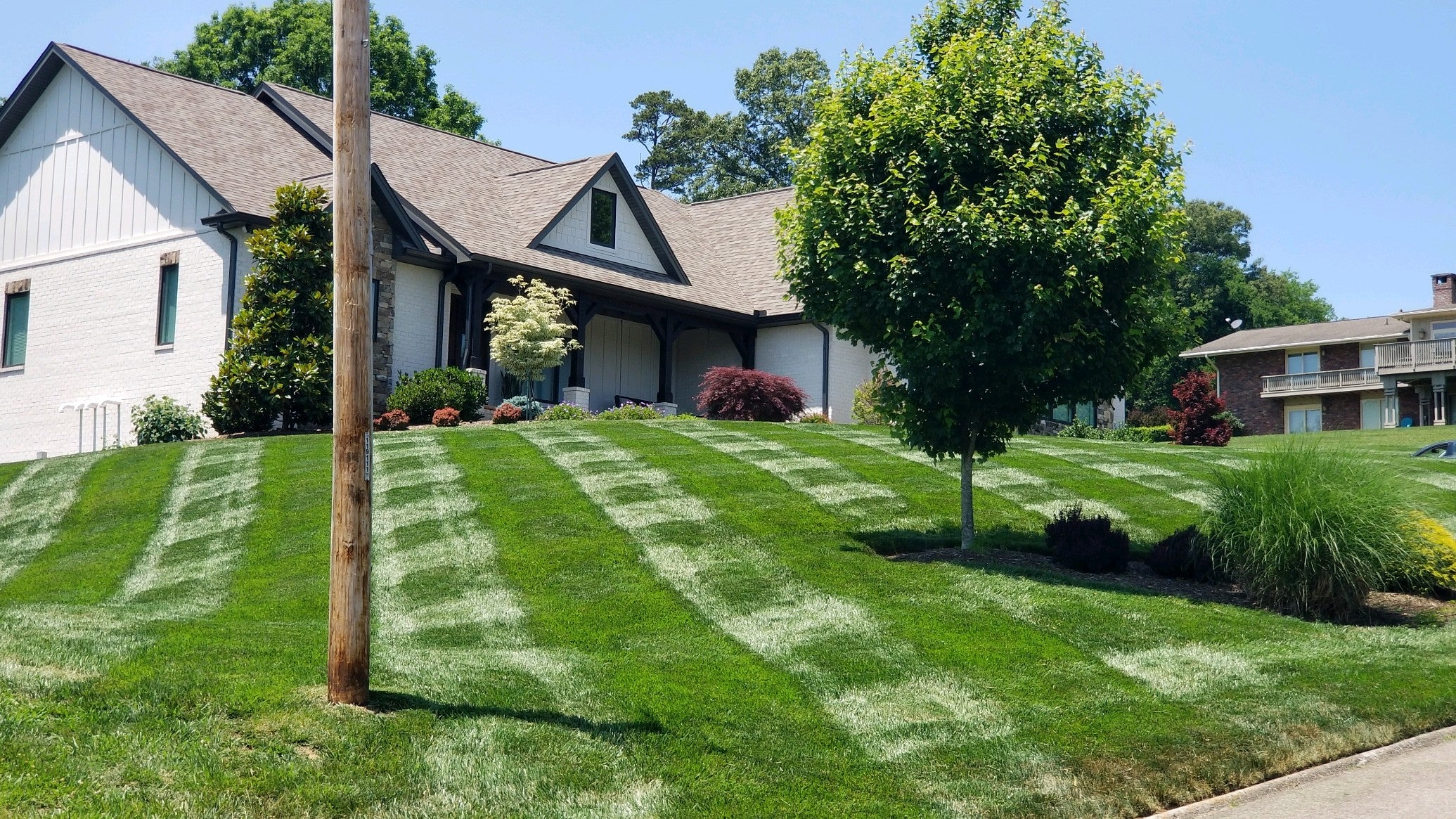 diagonal view of white brick home in background with beautiful striped yard in forground. medium sized tree in front aswell.