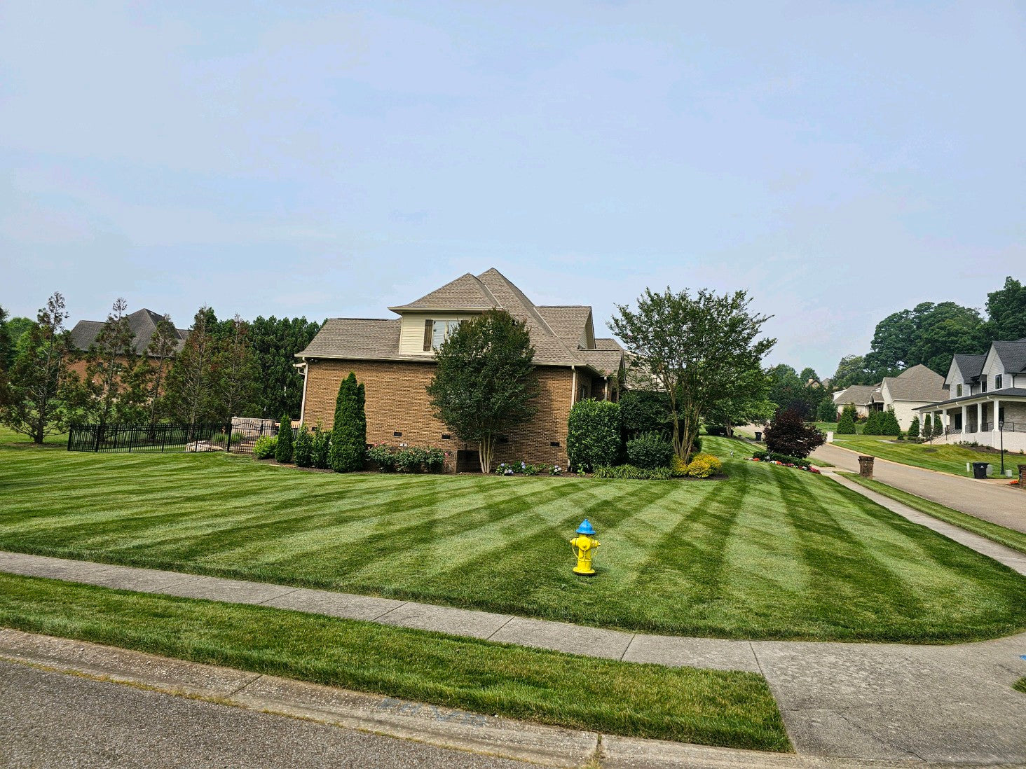 lush green healthy lawn freshly cut with pattern. Brick house in backgroound. sidewalk horizontal in foreground. landscaping around house