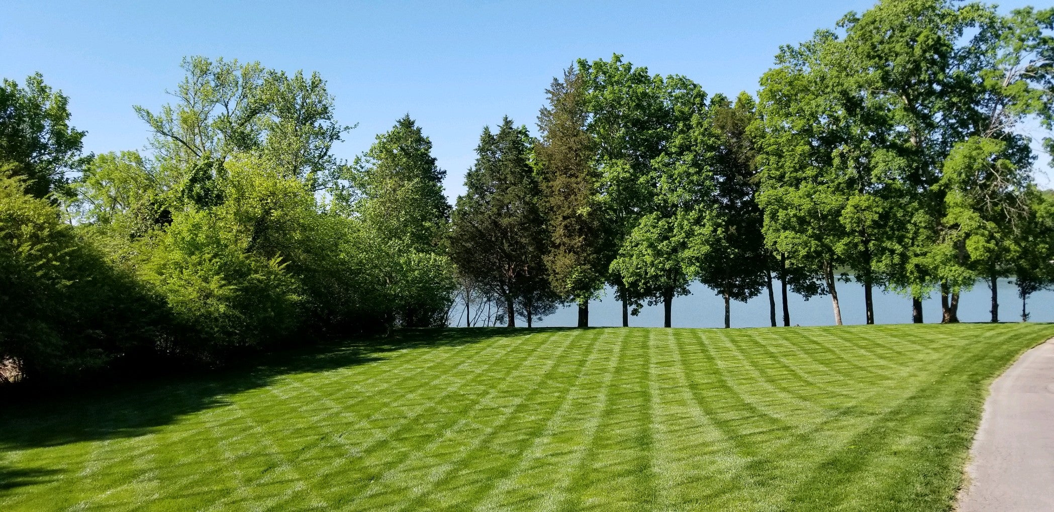 Large green patterned yard with big trees around the edges next to a lake.