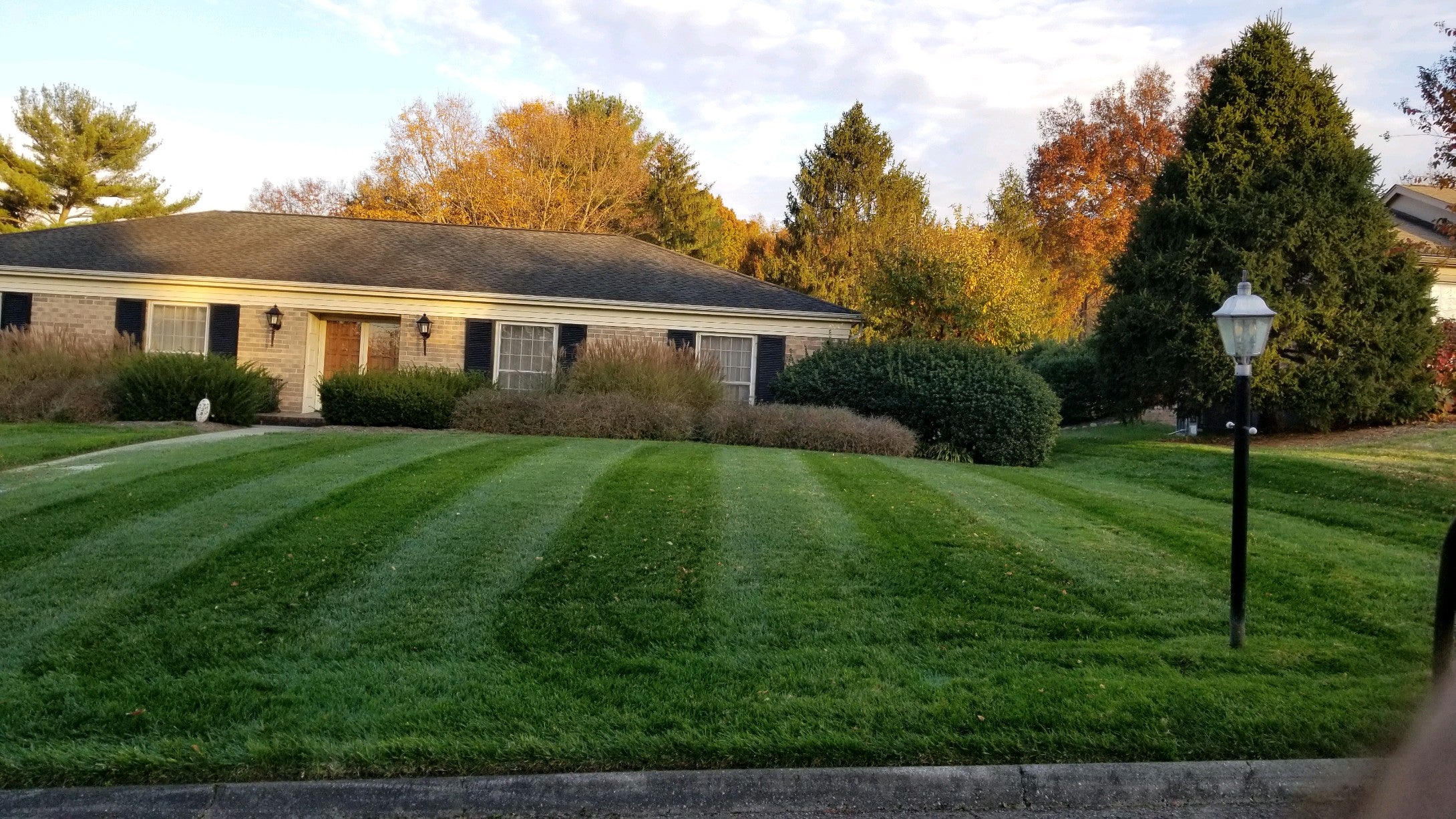 Brick home with striped yard in foreground. lots of trees behind home. 