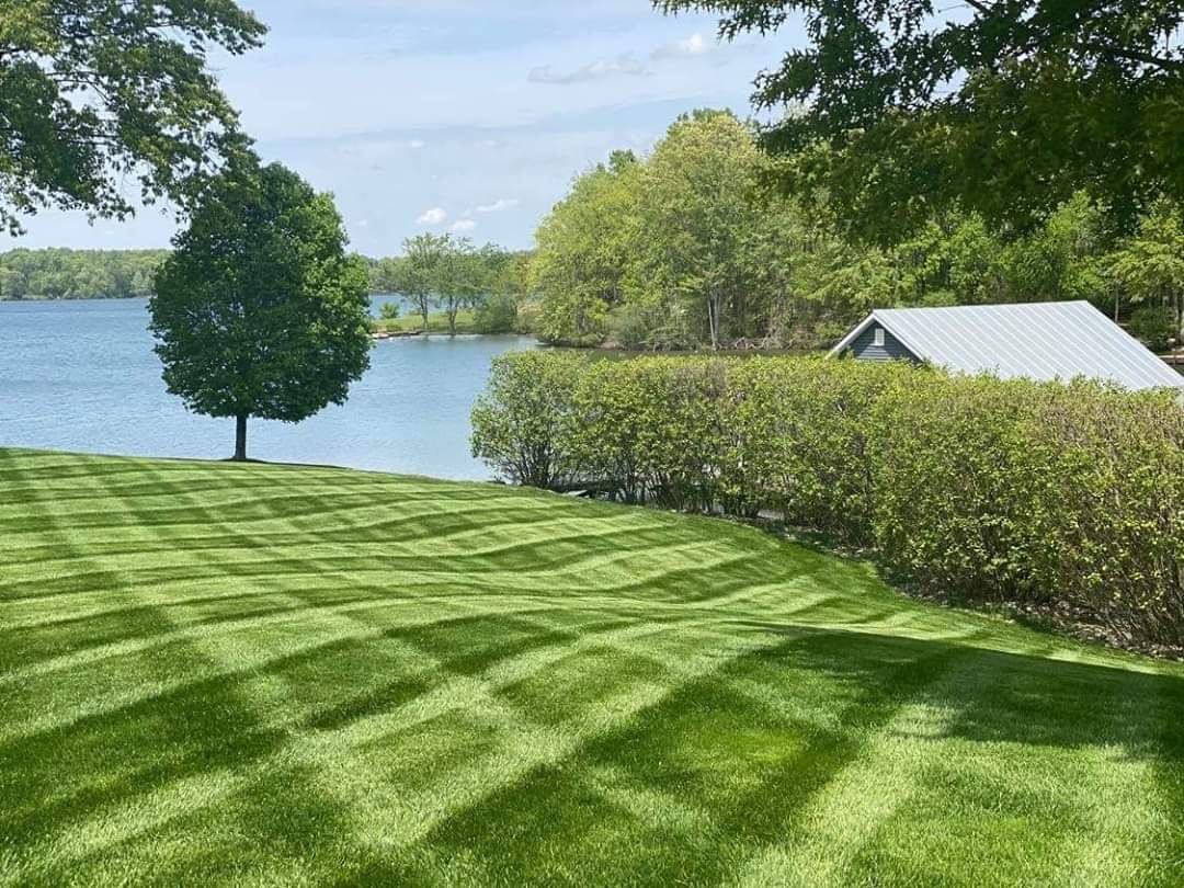 perfectly patterned lawn next to lake with large green bush on right side and a single tree in the background on the left.