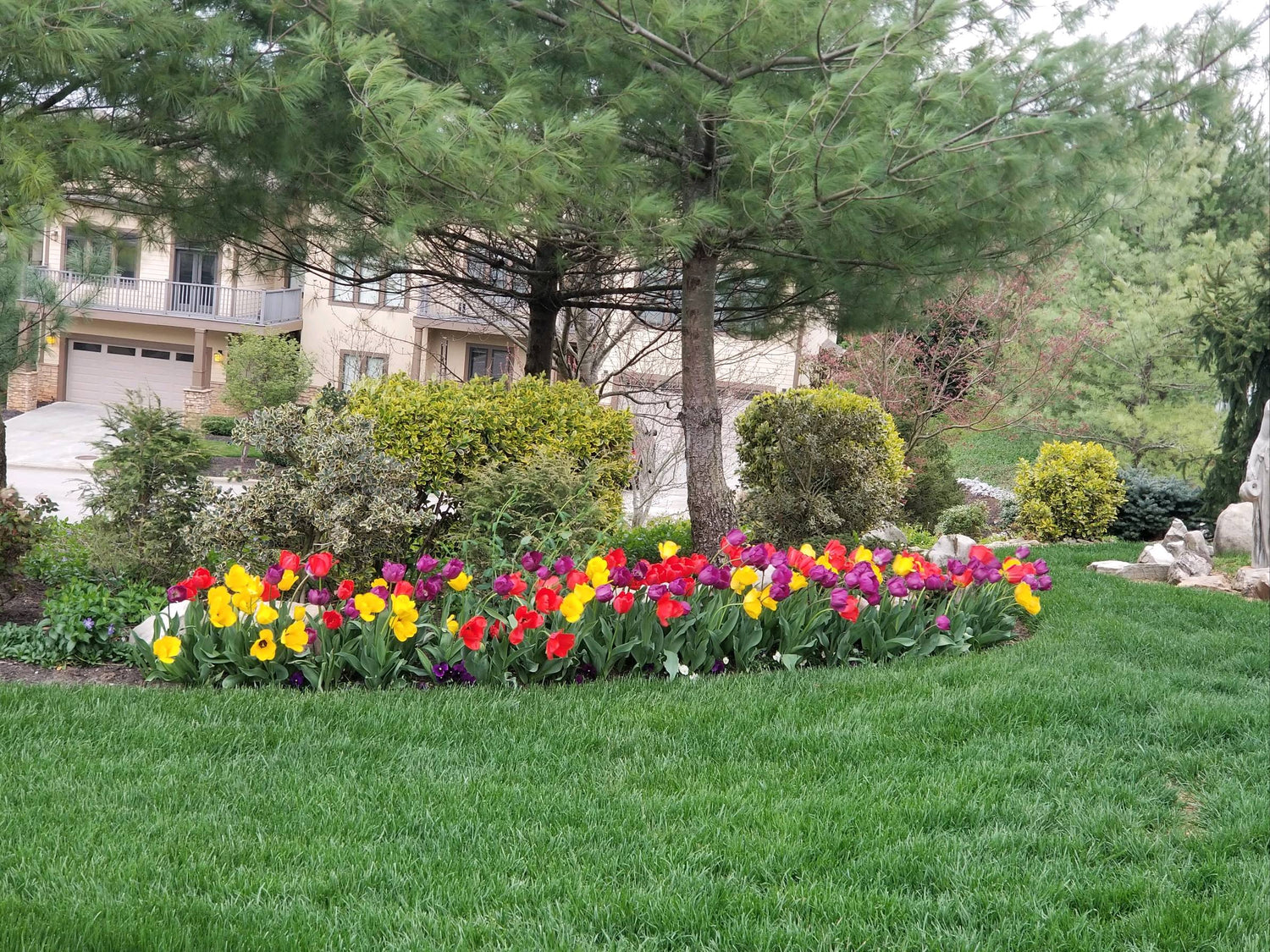 Green lawn with flower bed with trees and bushes. Lots of colorful flowers and a house in the background that is barely visable.