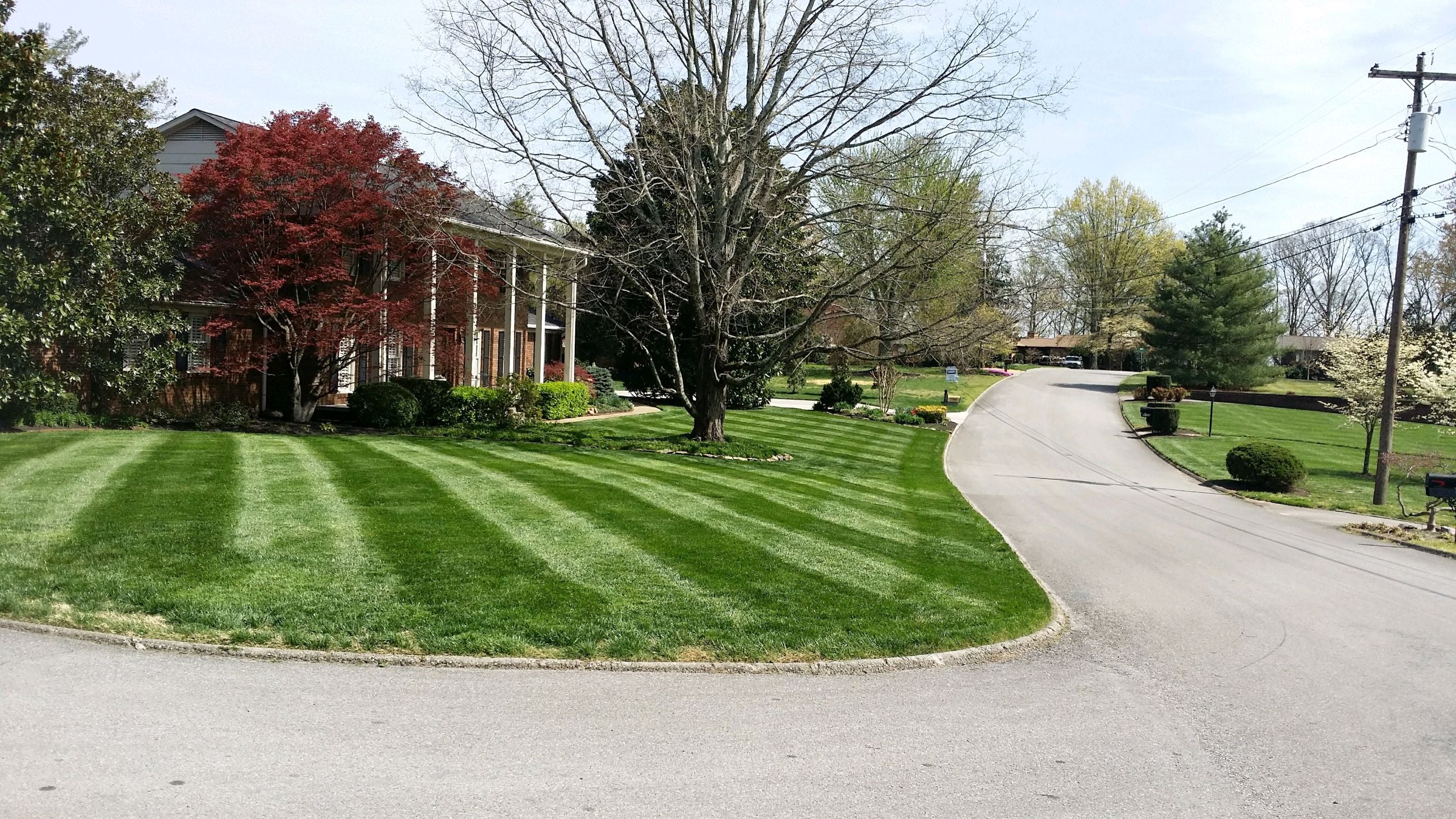 diagonal view of brick house with columns. road in foreground and on right. lush green striped yard in between house and road. lots of trees in background. sunny