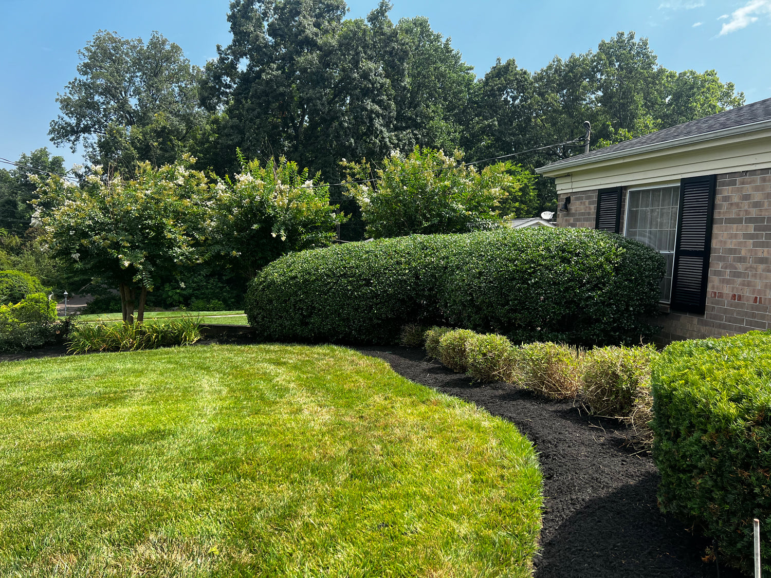 Corner of house with freshly cut green lawn, freshly cut hedges, new mulch in flower beds, and a blue sky.