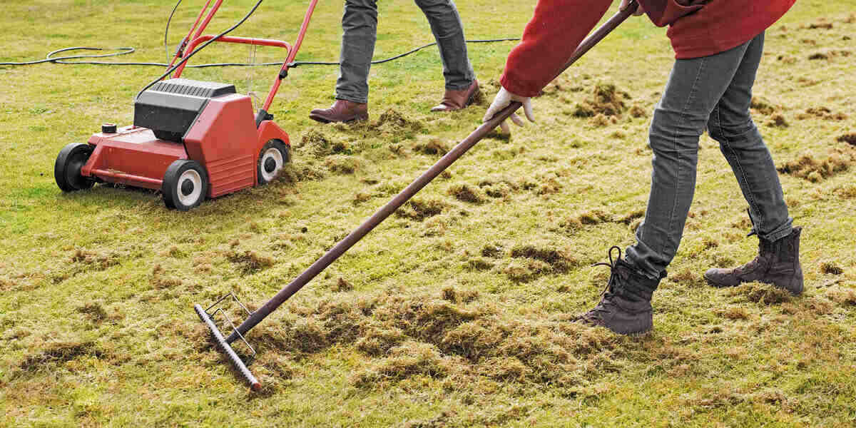 two people dethatching a yard. one using a powered machine and the other using a rake. only the people's legs are visible.