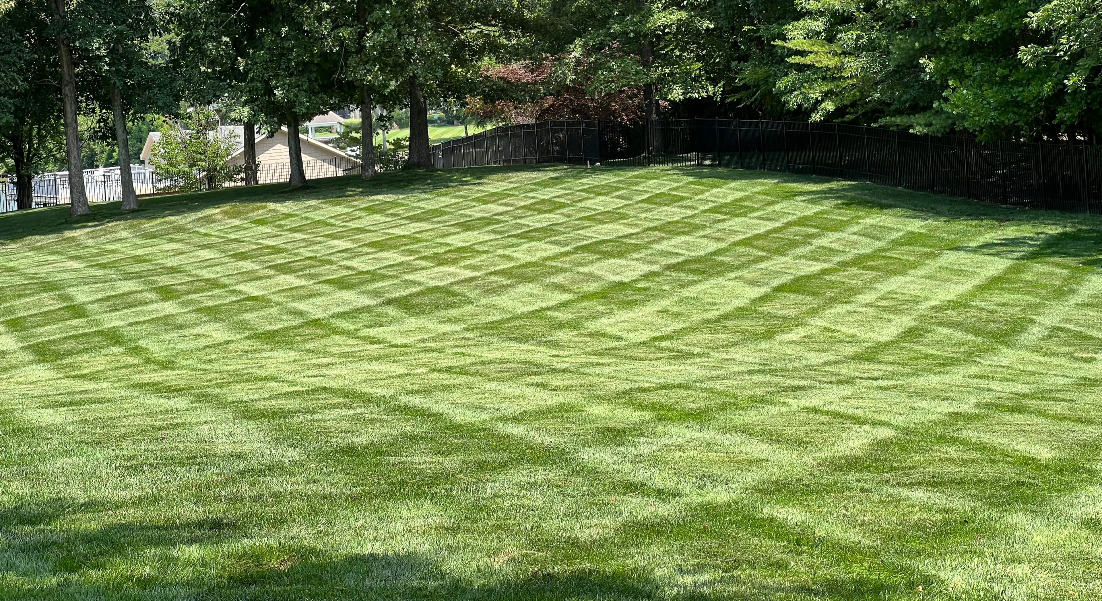 Beautifully patterned Lawn surrounded by large trees and black fence.